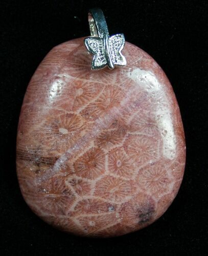 Red Fossil Coral Pendant - Million Years Old #7695